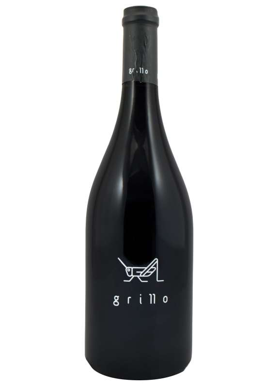  Grillo