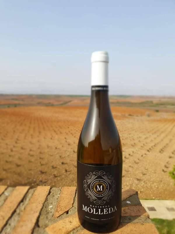  Hacienda Molleda Blanco Garnacha