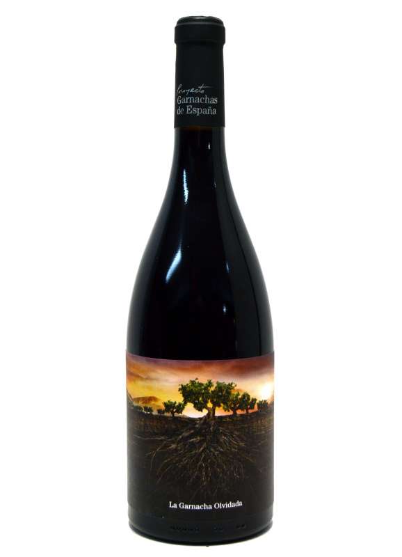  La Garnacha Olvidada de Aragón