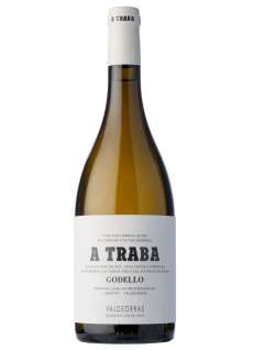 Hvit A Traba Godello