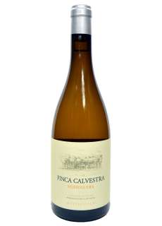 Hvit Finca Calvestra Merseguera