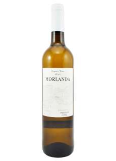 Hvit Morlanda Blanc