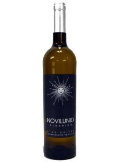 Hvit Novilunio Albariño