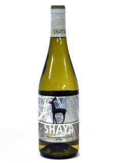 Hvit Shaya