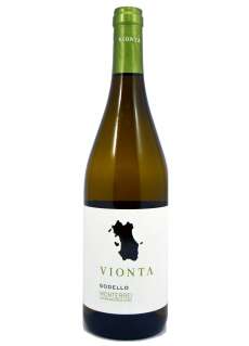 Hvit Vionta Godello