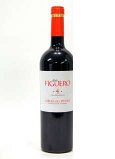 Rødvin Figuero Asomo