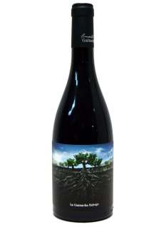 Rødvin Garnacha Salvaje del Moncayo